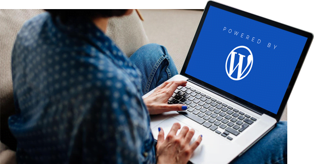 Woman Using Laptop